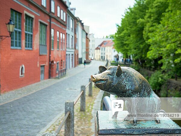 Schwein als Bronzestatue auf der Kanalbrücke in der Hansestadt Wismar