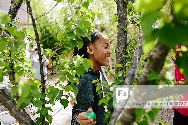 Profile shot of girl as she finds a plastic Easter egg in a tree