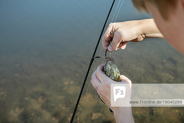 Person taking a blue gill fish with a worm off a hook while fish