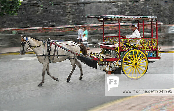 Horsecart in Intramusros  Manila