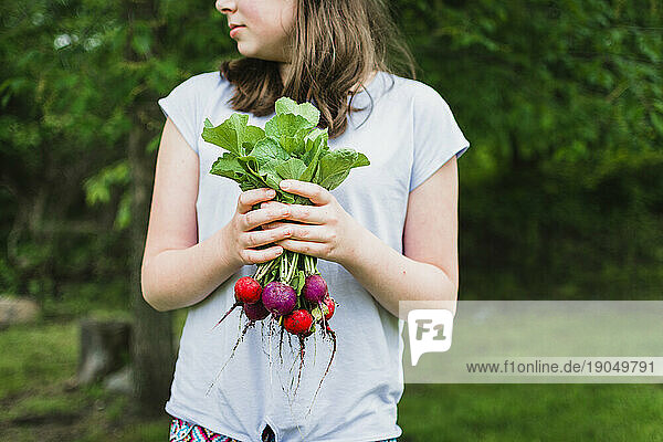 Girl Holding a Bunch of Radishes Freshly Picked From the Garden