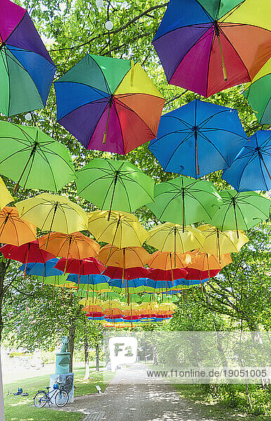 Regenschirmbaldachin im Schlosspark des Wasserschlosses Eichtersheim im Angelbachtal im Kraichgau  Baden-Württemberg  Deutschland  Europa.