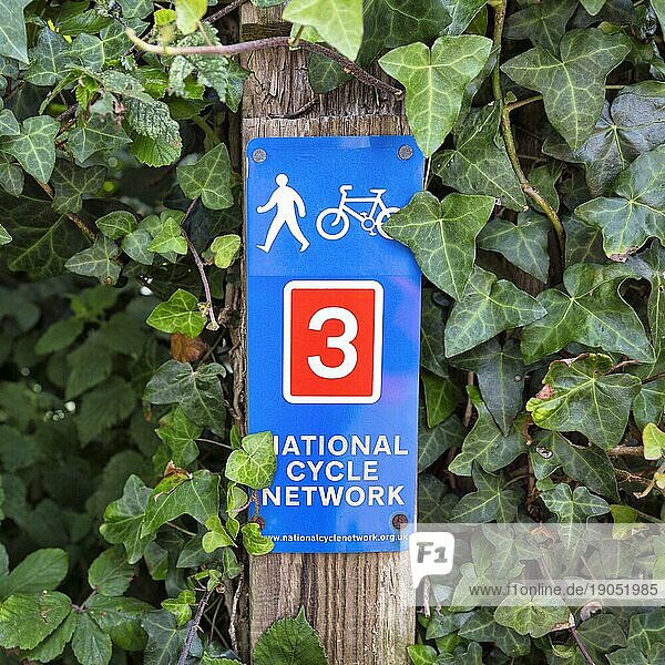 Verkehrsschild  blau und rot  markiert Weg für Radfahrer und Fußgänger  Nationaler Radweg 3  Fernradweg  Cornwall  Großbritannien  Europa