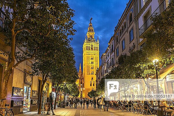 Die belebte Fussgängerzone Calle Mateos Gago und der Glockenturm Giralda der Kathedrale Santa María de la Sede in der Abenddämmerung  Sevilla  Andalusien  Spanien  Europa