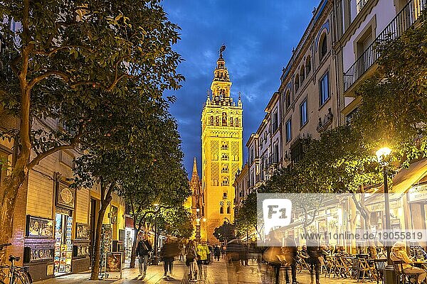 Die belebte Fussgängerzone Calle Mateos Gago und der Glockenturm Giralda der Kathedrale Santa María de la Sede in der Abenddämmerung  Sevilla  Andalusien  Spanien  Europa