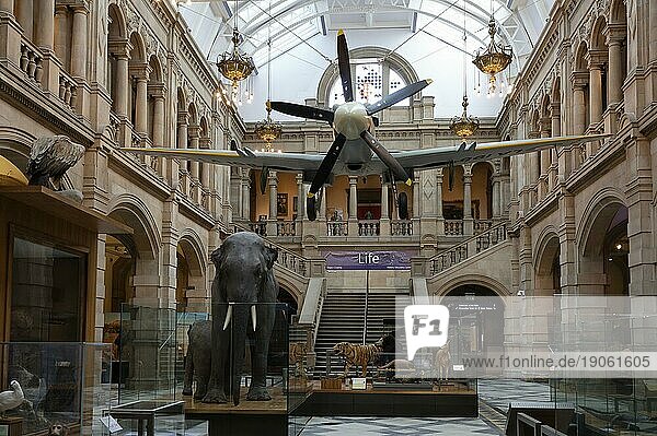 Innenansicht  Spitfire  Elephant Sir Roger  Kelvingrove Art Gallery and Museum  Finnieston  Glasgow  Scotland  Großbritannien  Europa