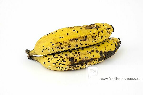 Überreife Bananen  Studioaufnahme  weisser Hintergrund  gesunde Ernährung