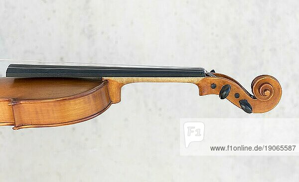 Seitenansicht Geige