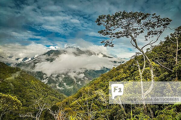 Foto von Wäldern und hohen Bergen  die von Morgennebel bedeckt sind  im Dani Kreis bei Wamena  Papua  Indonesien. In dieser Region trifft man nur auf Menschen aus isolierten lokalen Stämmen