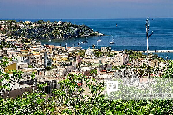 Übersicht vom Stadtzentrum  Procida  Phlegräische Inseln  Golf von Neapel  Kampanien  Süditalien  Italien  Europa