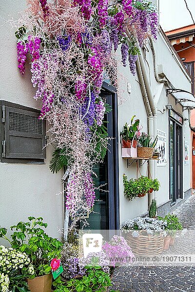 Fassade mit Blumenschmuck von einem Blumengeschäft  Pozzuoli  Golf von Neapel  Kampanien  Süditalien  Italien  Europa