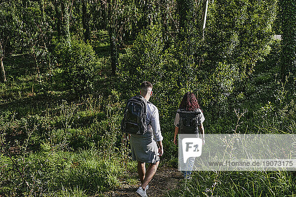 Man and woman exploring forest at sunny day
