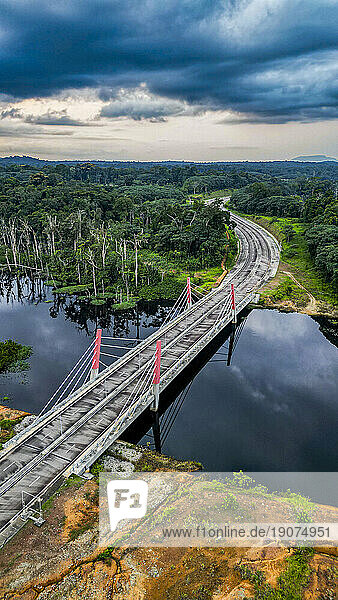 Aerial of a bridge cutting through the jungle to the future capital Ciudad de la Paz  Rio Muni  Equatorial Guinea  Africa