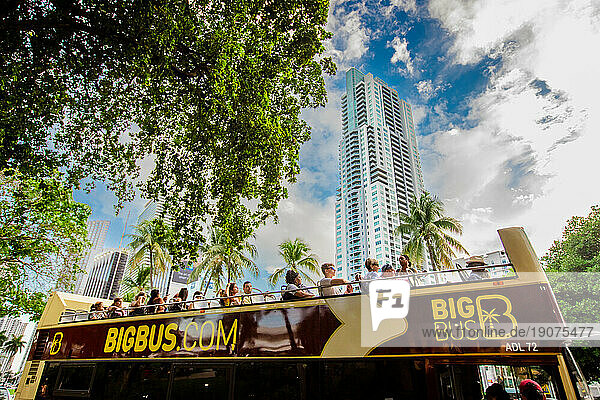 Big Bus Tour in Miami  Miami  Florida  United States of America  North America