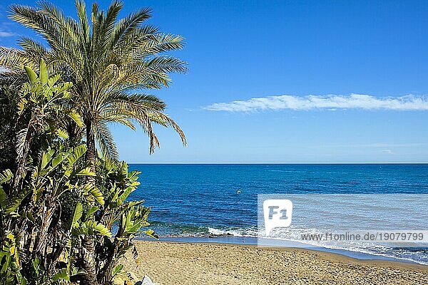 Malerische  ruhige Kulisse eines Sandstrandes und des Mittelmeers in Marbella  Region Andalusien  Costa del Sol  Spanien  Europa