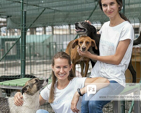 Lächelnde Frau verbringt Zeit mit süßen Rettungshunden im Tierheim