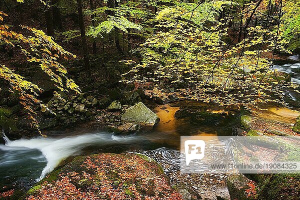 Kleiner Bach in ruhiger Herbstwaldkulisse in den Bergen