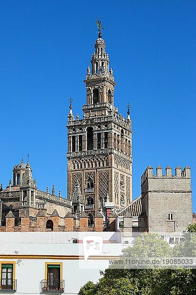 La Giralda  Glockenturm der Kathedrale von Sevilla in Spanien  Teil des Real Alcazar auf dem ersten Plan