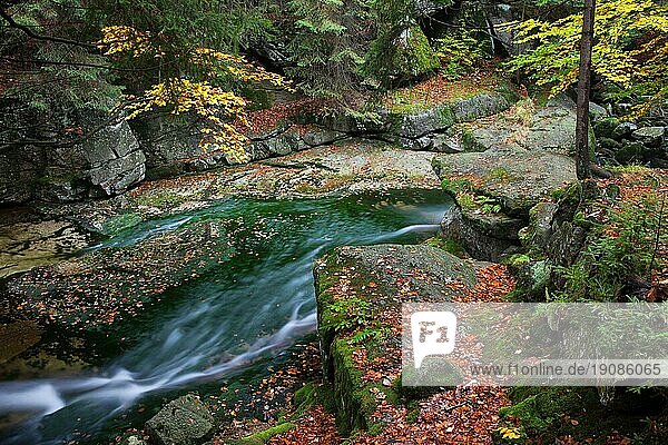 Kleiner Bach in der ruhigen Landschaft der herbstlichen Bergwaldwildnis
