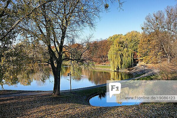 Moczydlo Park ruhige Landschaft im Herbst  Stadt Warschau  Polen  Europa