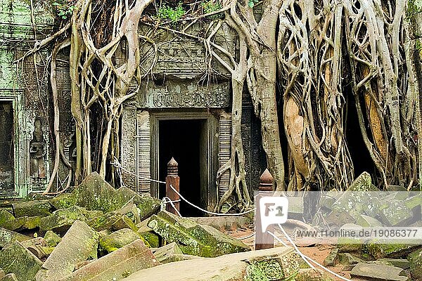 Ta Prohm (ursprünglich Rajavihara genannt) berühmter Tempel im Bayon Stil in Kambodscha