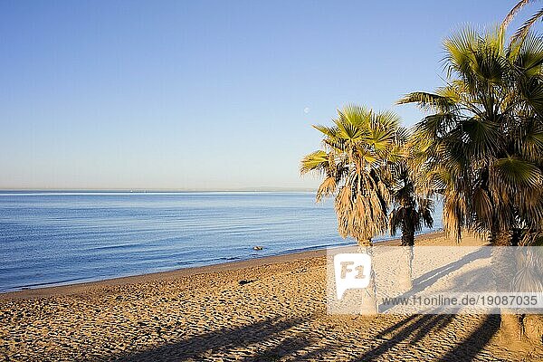 Früher Morgen an einem Sandstrand am Mittelmeer in Marbella  Costa del Sol  Andalusien  Spanien  Europa