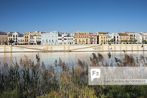Traditionelle Wohnhäuser im Stadtteil Triana am Fluss Guadalquivir in der Stadt Sevilla  Andalusien  Spanien  Europa