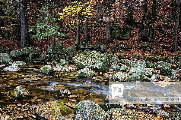 Bach im herbstlichen Bergwald  ruhige Szenerie in natürlicher Umgebung der Berge