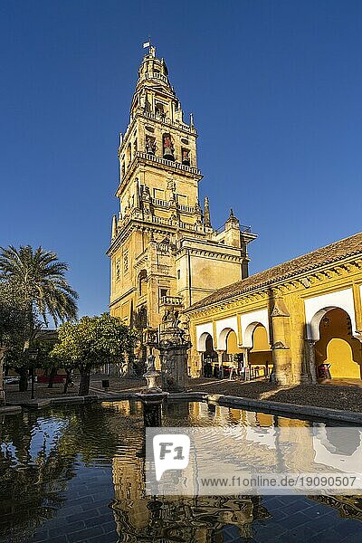Orangenhof und Glockenturm der Mezquita  Catedral de Córdoba in Cordoba  Andalusien  Spanien  Europa