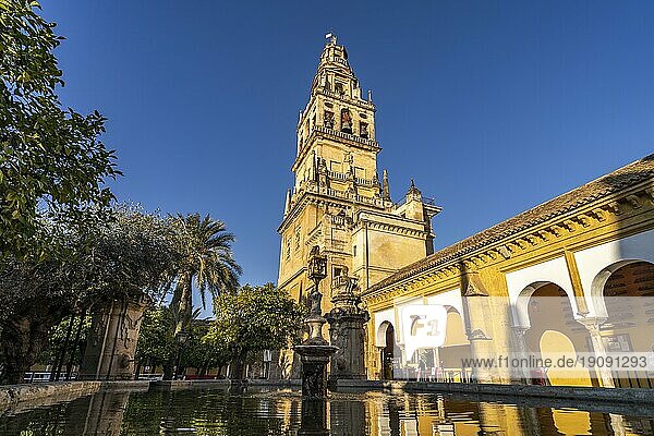 Orangenhof und Glockenturm der Mezquita  Catedral de Córdoba in Cordoba  Andalusien  Spanien  Europa