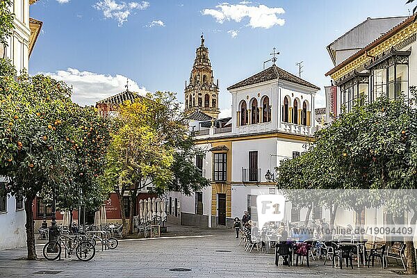 Altstadt und Glockenturm der Mezquita in Cordoba  Andalusien  Spanien  Europa