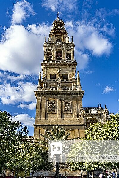 Glockenturm der Mezquita  Catedral de Córdoba in Cordoba  Andalusien  Spanien  Europa