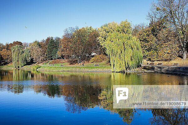 Moczydlo Park ruhige Landschaft am Teich im Herbst  Stadt Warschau  Polen  Europa