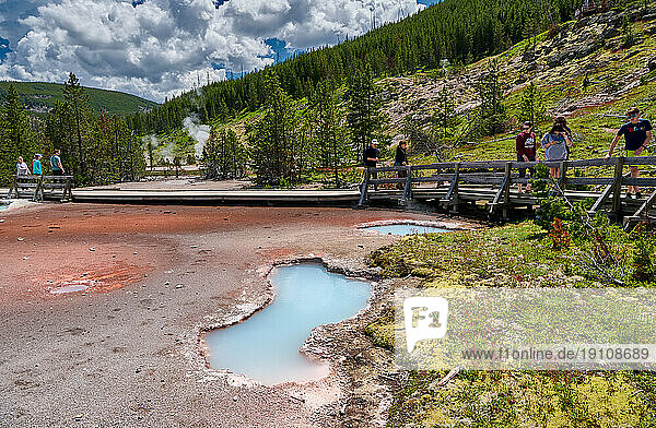 Artists' Paintpots  Yellowstone-Nationalpark  Wyoming  Vereinigte Staaten von Amerika |Artists' Paintpots  Yellowstone National Park  Wyoming  United States of America|