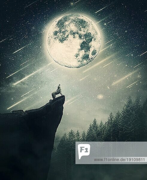 Heulender Wolf auf der Spitze einer Klippe über Nacht Himmel Hintergrund mit leuchtenden Vollmond. Wildlife Szene mit fallenden Sternen über den Nadelwald