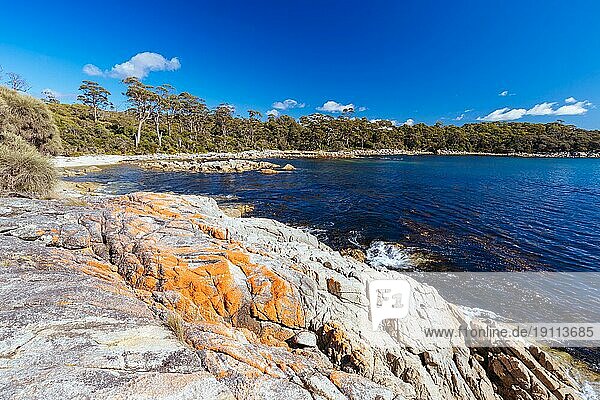Mit Flechten bedeckte Felsformationen auf dem Skeleton Bay Walk Humbug im Point Nature Recreation Area in der Bay of Fires an der Binalong Bay  Australien  Ozeanien