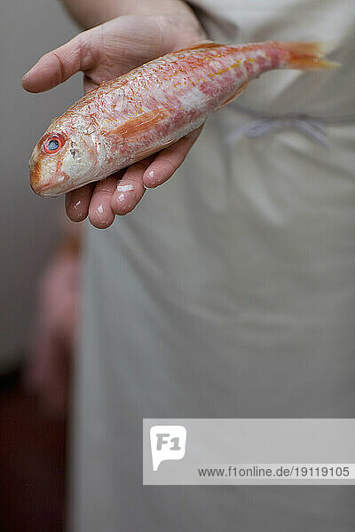 Close up of fishmonger's hands holding fish