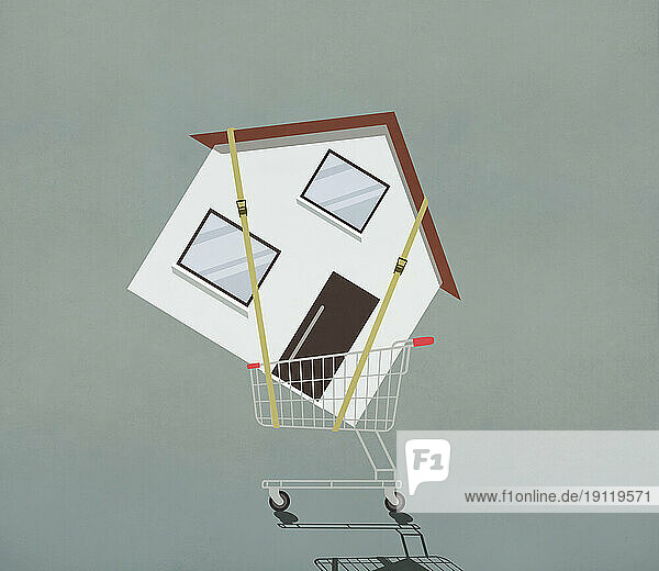 Strapped house in shopping cart