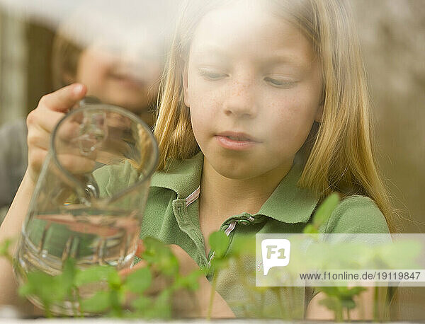 Girl watering seedlings with jug