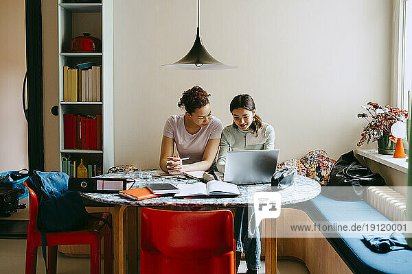 Freundinnen studieren zusammen  während sie einen Laptop am Tisch benutzen