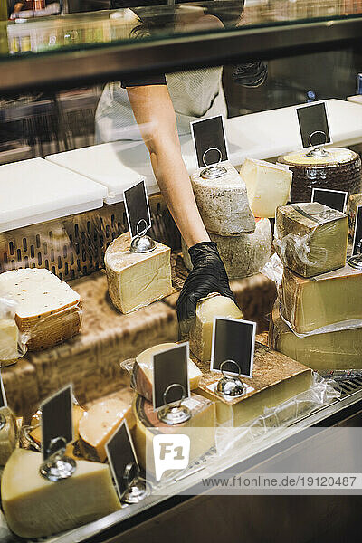 Mittelteil einer weiblichen Einzelhandelsangestellten  die in einem Lebensmittelgeschäft Käse aus der Vitrine nimmt