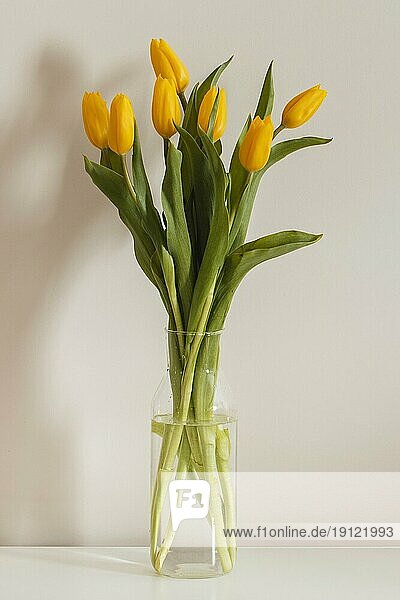 Vorderansicht Blumenstrauß Tulpen Vase