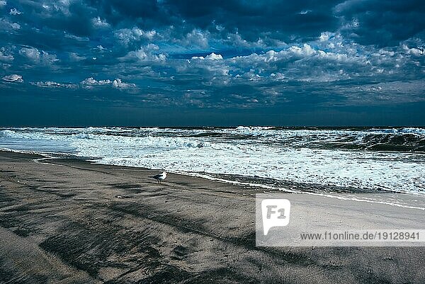 Meeresstrand an einem windigen Wintertag  Long Beach  New York  USA  Nordamerika