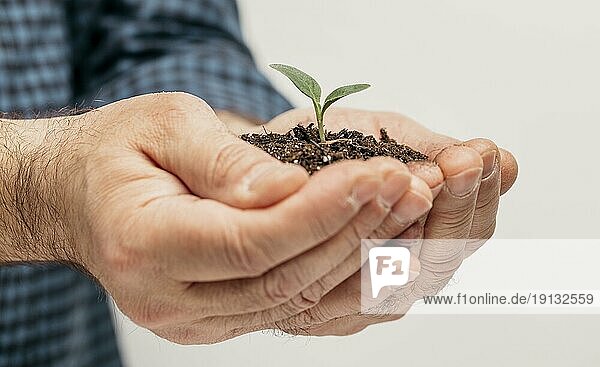 Seitenansicht männliche Hände halten Erde kleine Pflanze