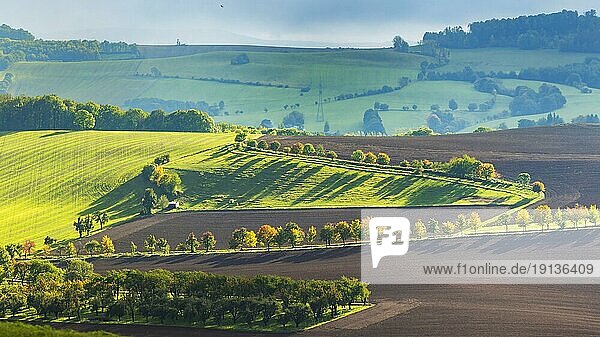 Herbstliche Felderlandschaft bei Possendorf im Osterzgebirge
