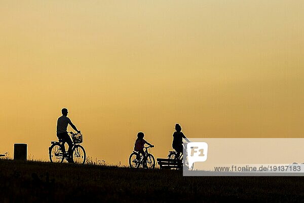 Silhouette von Radfahrern auf dem Elberadweg am Abend