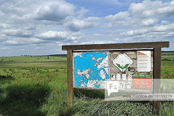 Informationstafel im Naturschutzgebiet Hohes Venn  Hohes Venn  Belgische Ardennen  Belgien  Europa
