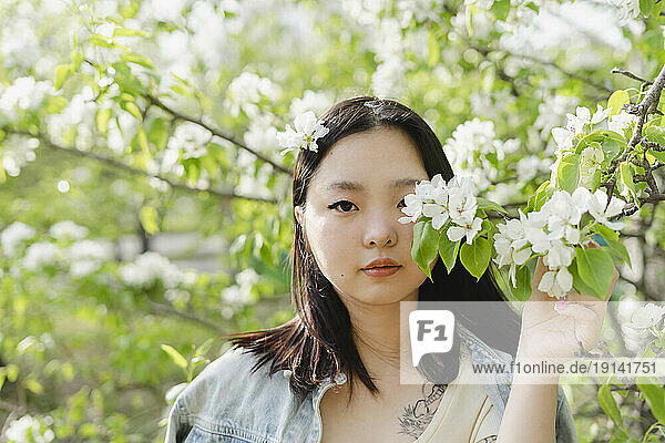 Young woman holding branch with white flowers