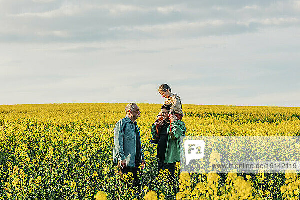Father carrying son on shoulder next to grandfather in rapeseed field