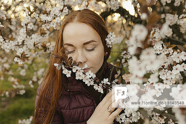 Redhead woman smelling flowers on tree at park